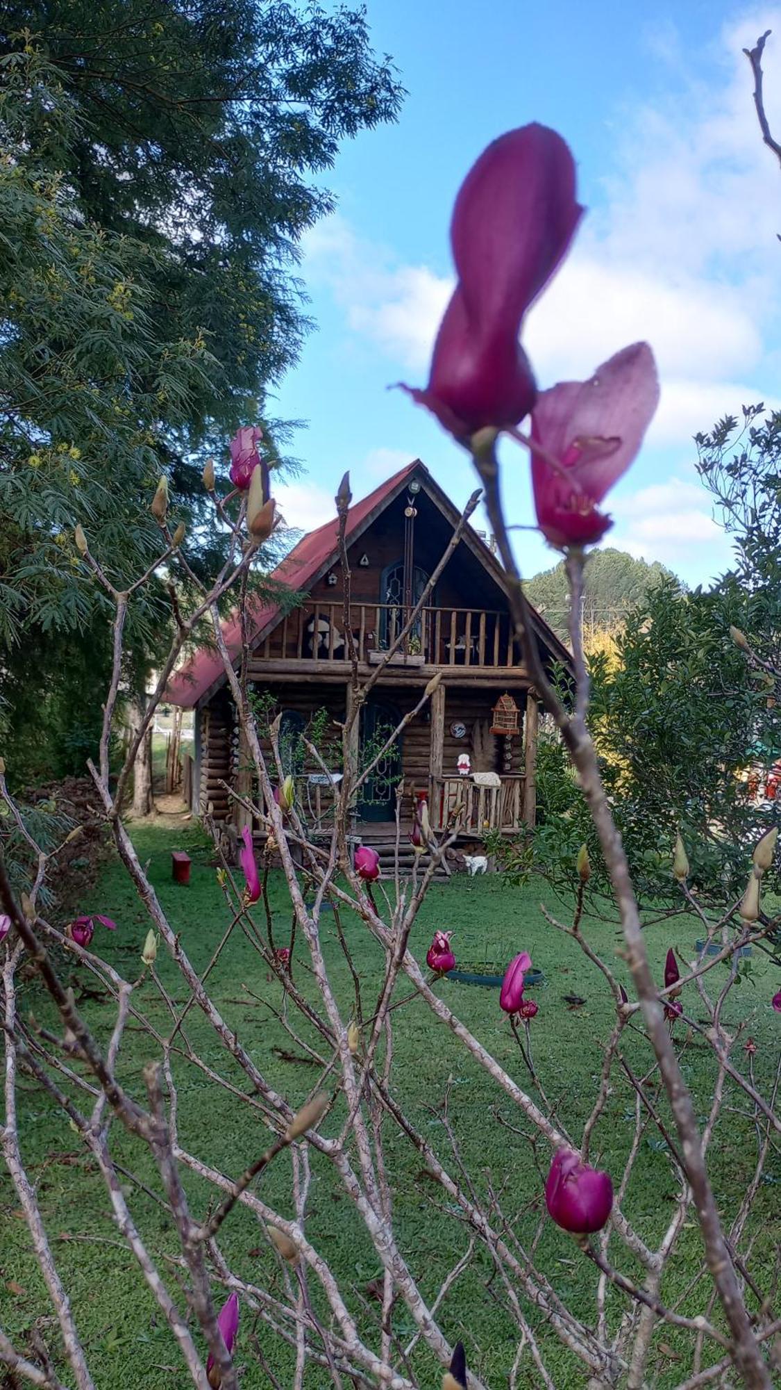 Hotel Casa De Toras Campo Alegre  Esterno foto